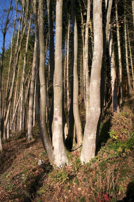 2012_11_11__01.jpg