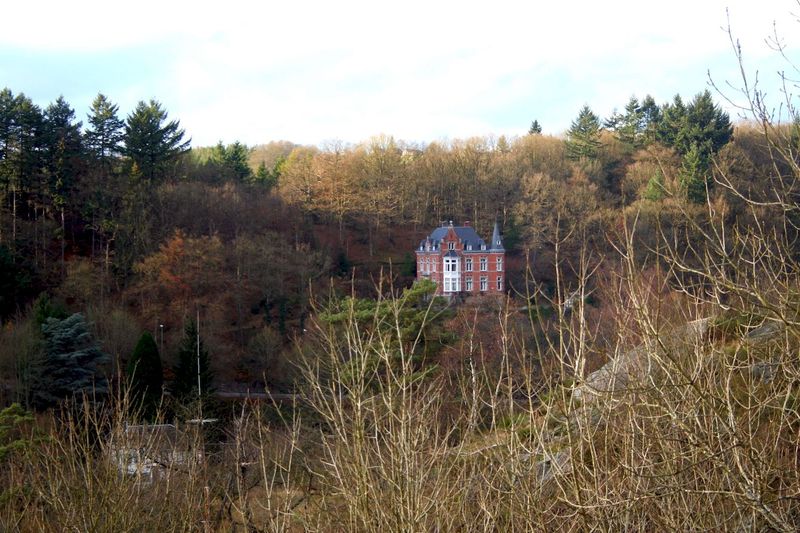 2012_11_25__11.jpg