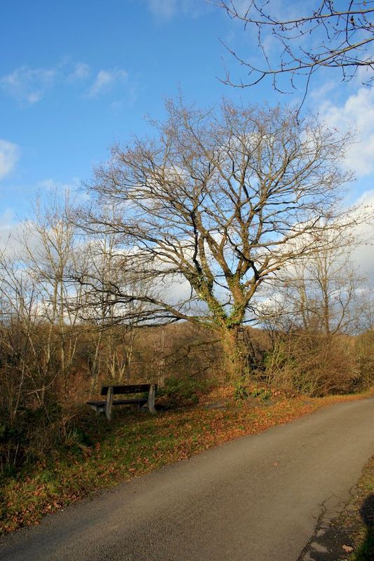 2012_11_25__63.jpg