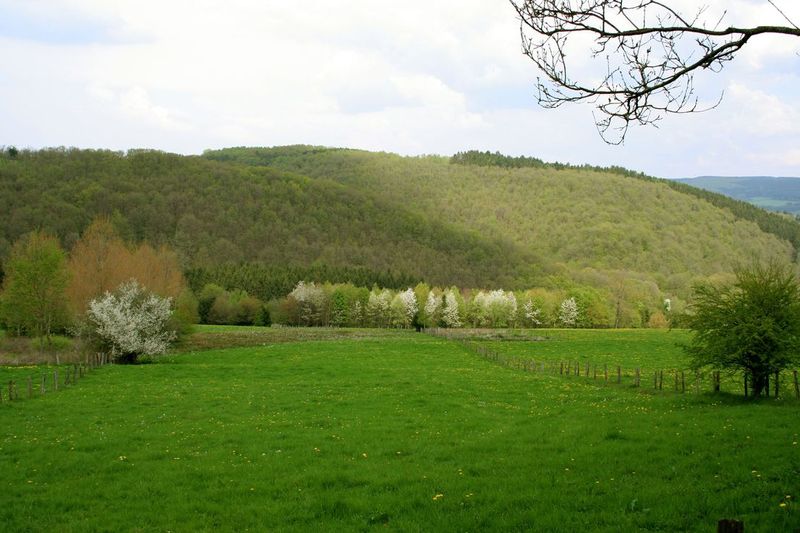 2013_05_06__07.jpg
