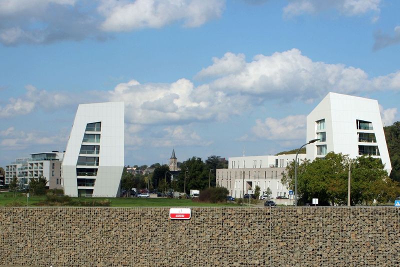20240923_0056_1.jpg