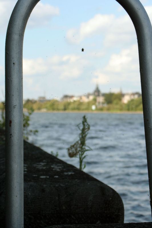 20240923_0085.jpg