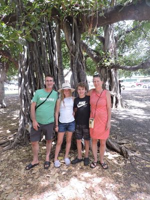Barrett_DSCN3055_Lahaina_Banyan Tree.JPG