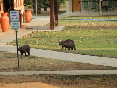 Barrett_DSCN4327_Capybaras_Preserving the Nature sign.JPG