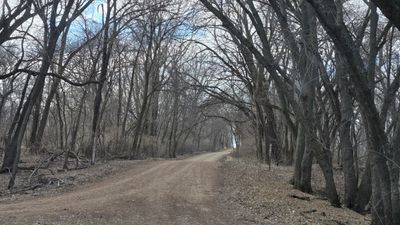 Mulroney Access, near Rodman