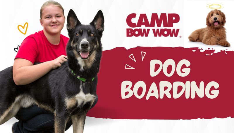 Dog Boarding Houston
