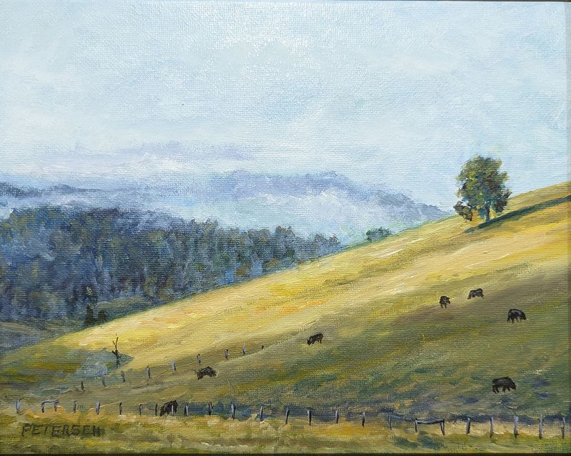 Mountain Angus-Giles County -SOLD