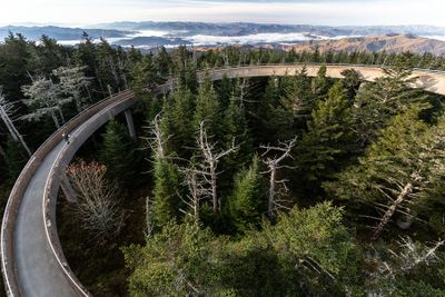 Inclined Spiral Walkway- Clingmans Dome 
