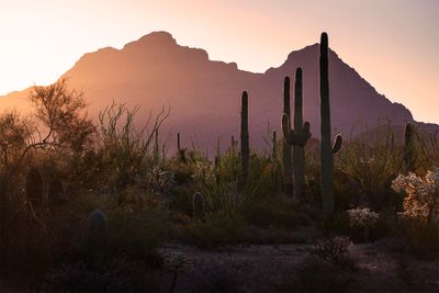A Fall Western Trip In 2019