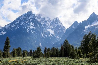 Grand Tetons and Yellowstone. A return trip to Wyoming. June 2023