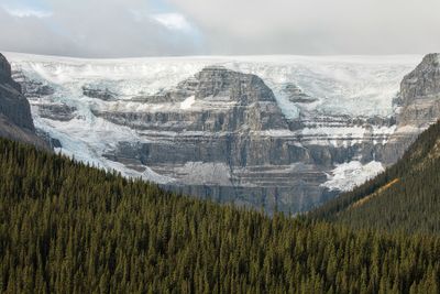 An Icefields Parkway Glacier