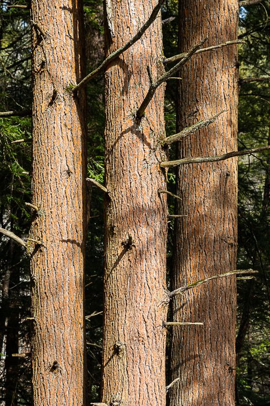 _DSC9864.jpg