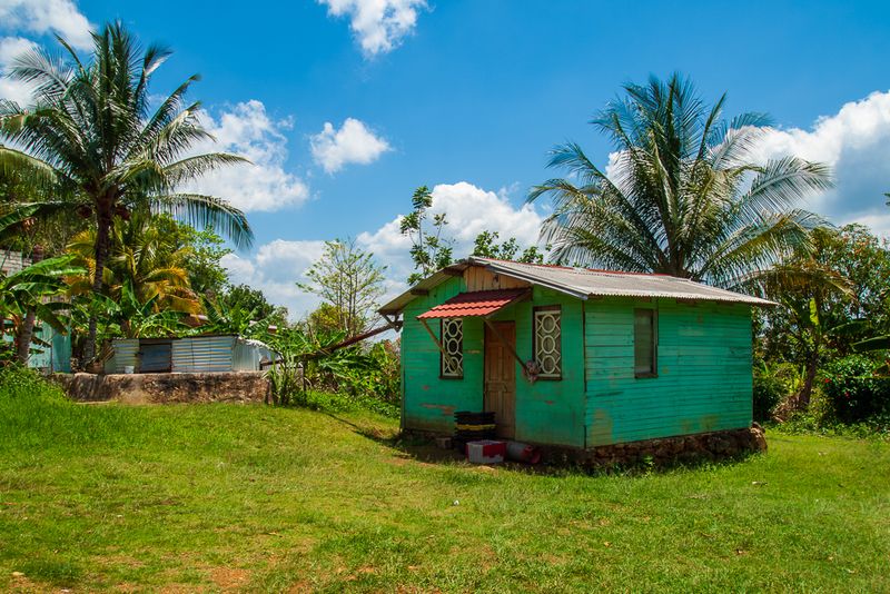 Little Green House