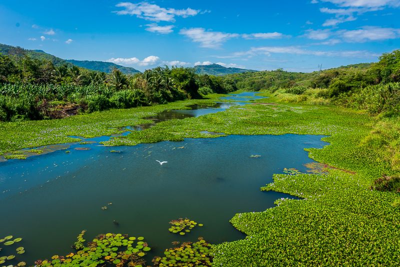 Wag Water River