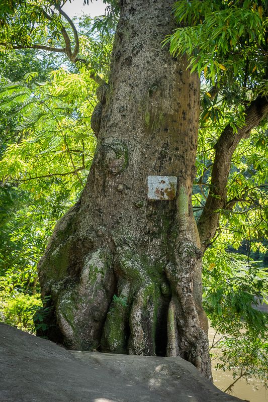 _DSC9800.jpg