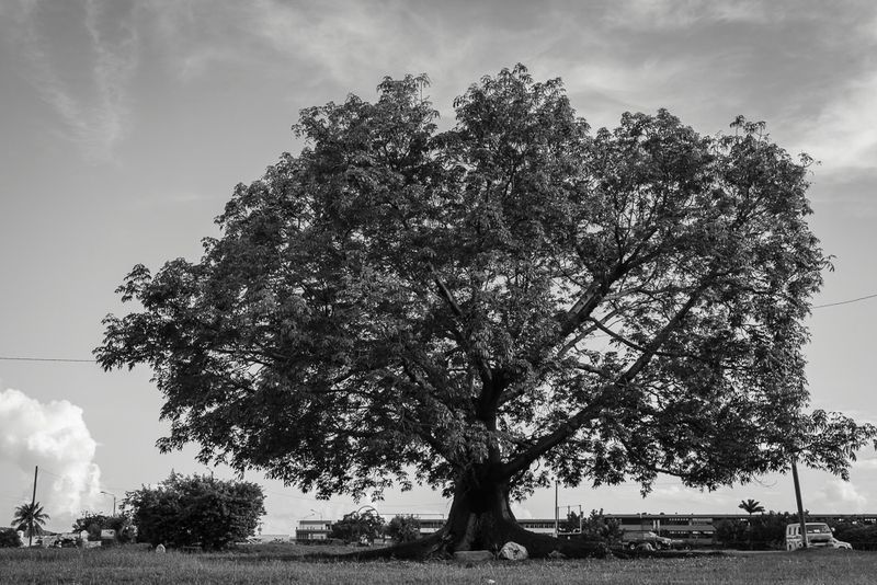 _DSC9859.jpg