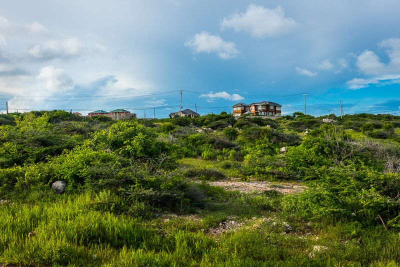 _DSC9867.jpg
