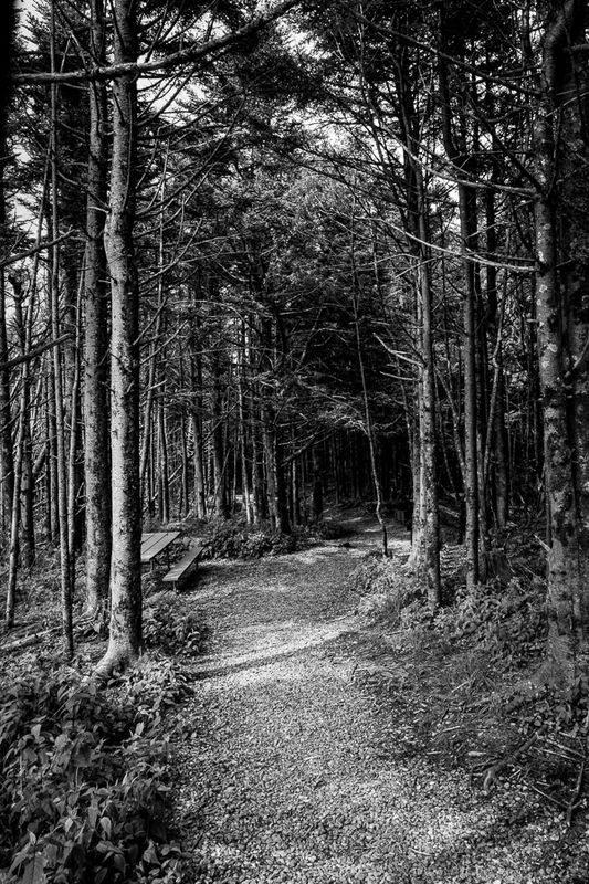 _DSC0054.jpg