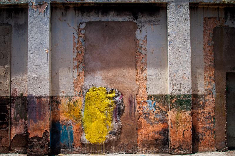 Patch of Yellow