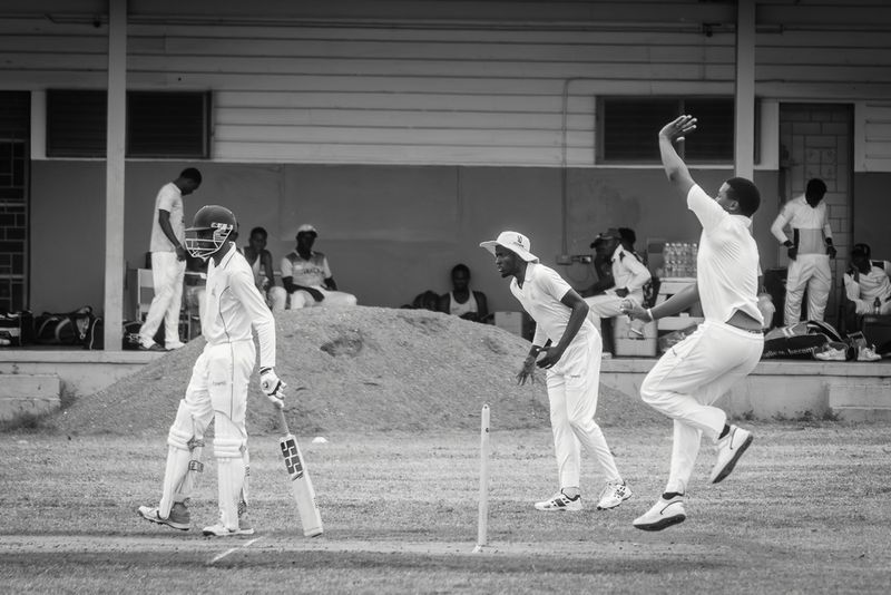 Cricket Study V