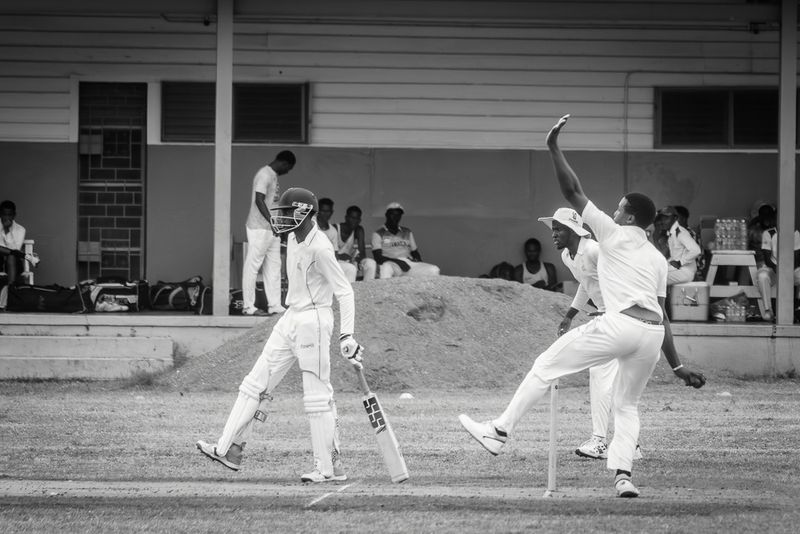 Cricket Study VI