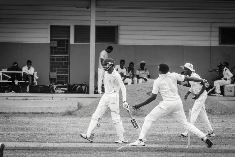 Cricket Study VII