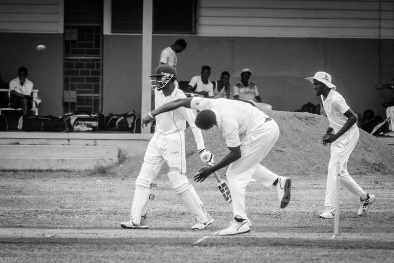 Cricket Study VIiI