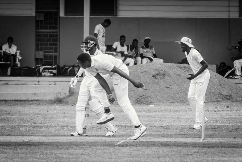 Cricket Study IX