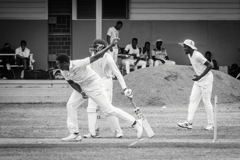 Cricket Study X