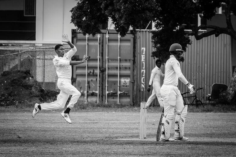 Cricket Study XI