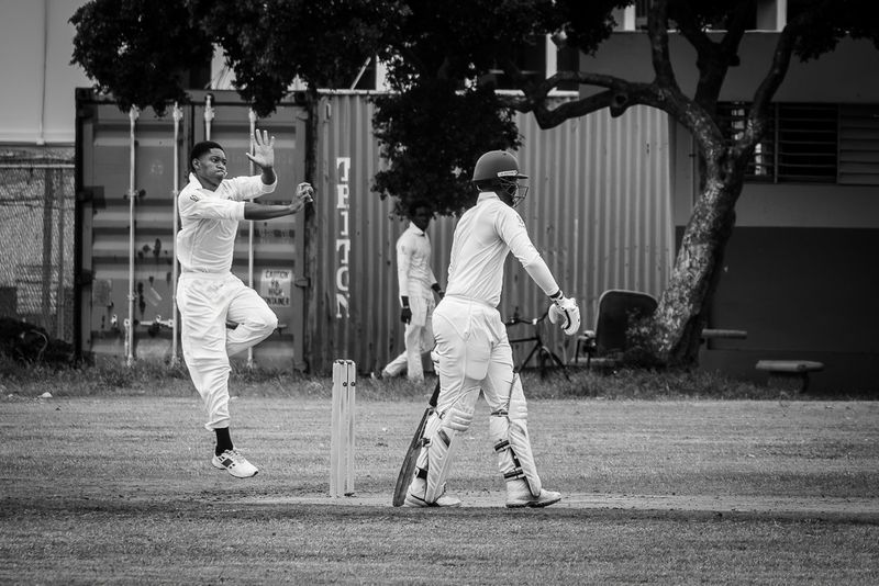 Cricket Study XII
