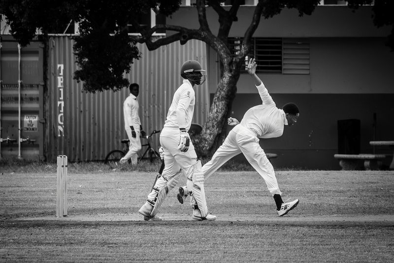 Cricket Study XIV