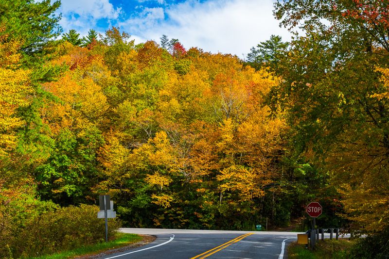 Junction NC Highways 181 and 183