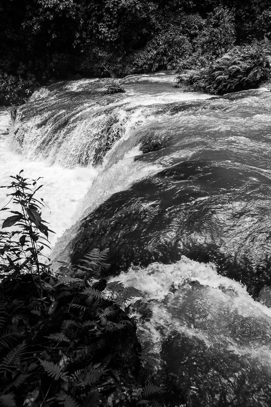 _DSC0934.jpg