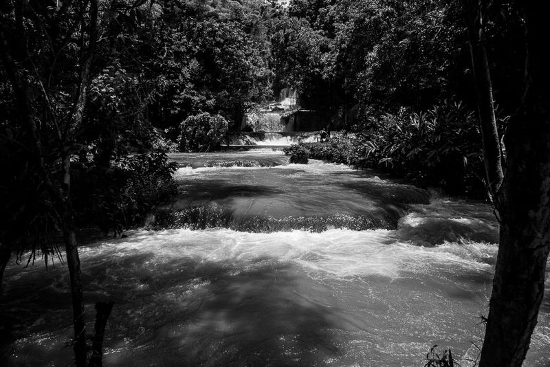 _DSC0939.jpg