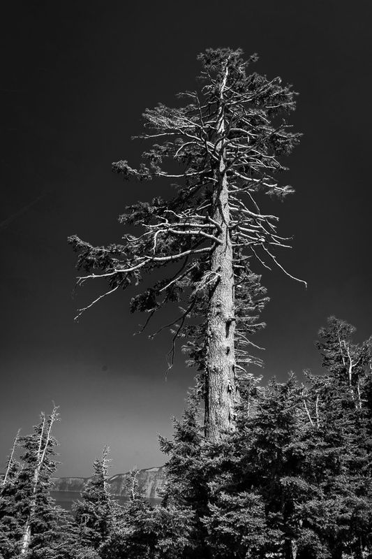 _DSC2762.jpg