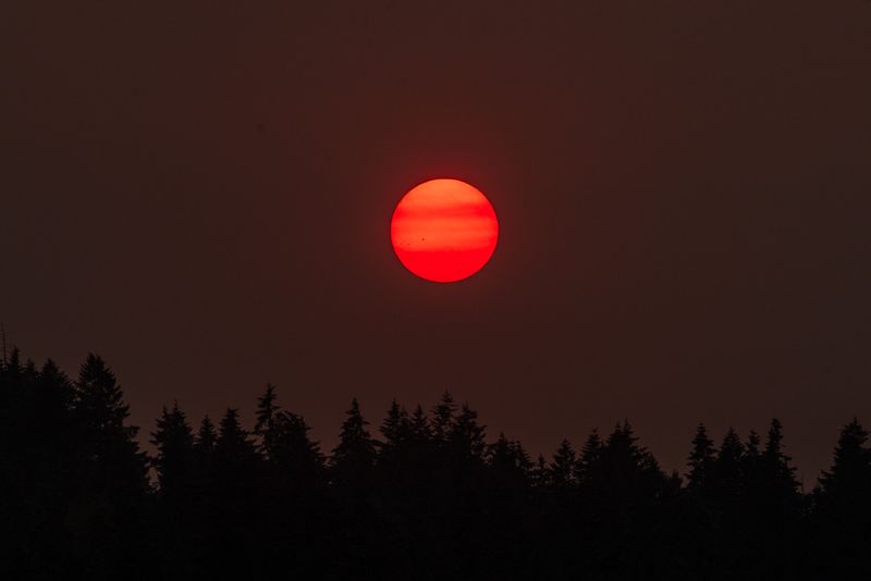 _7RV9907.jpg