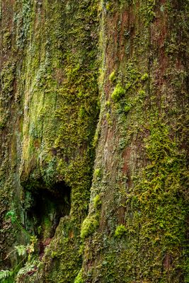 _DSC6304.jpg