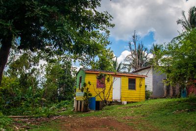 Little Yellow House