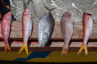 Drying Fish I