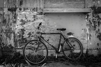 Bicycle I