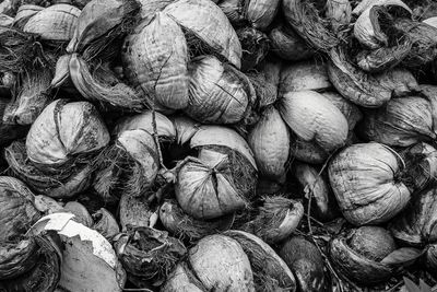 Coconut Husks
