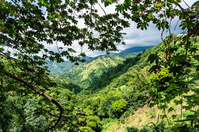 _DSC0058.jpg