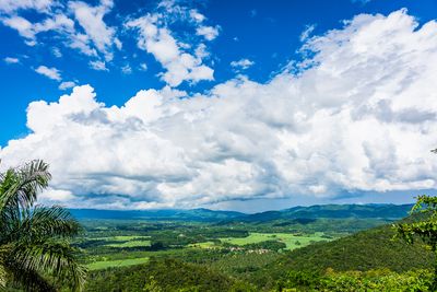 _DSC9767.jpg