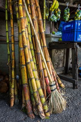 _DSC9784.jpg
