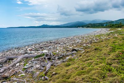 _DSC2685.jpg