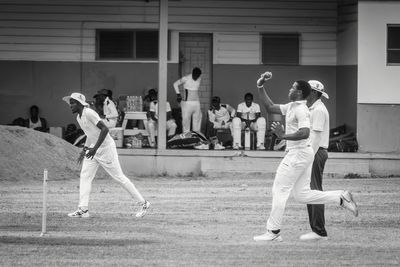 Cricket Study III