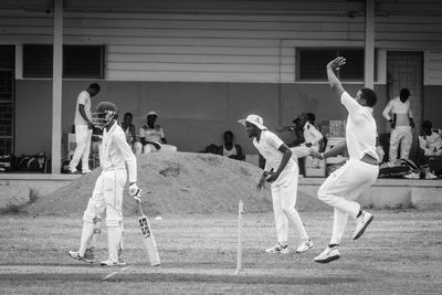 Cricket Study V