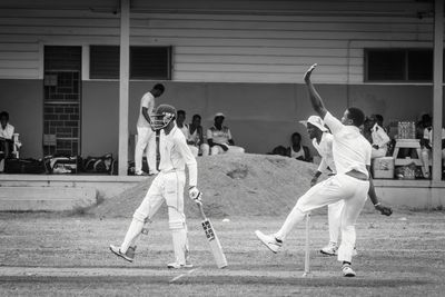 Cricket Study VI