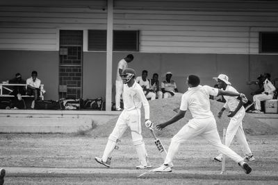Cricket Study VII